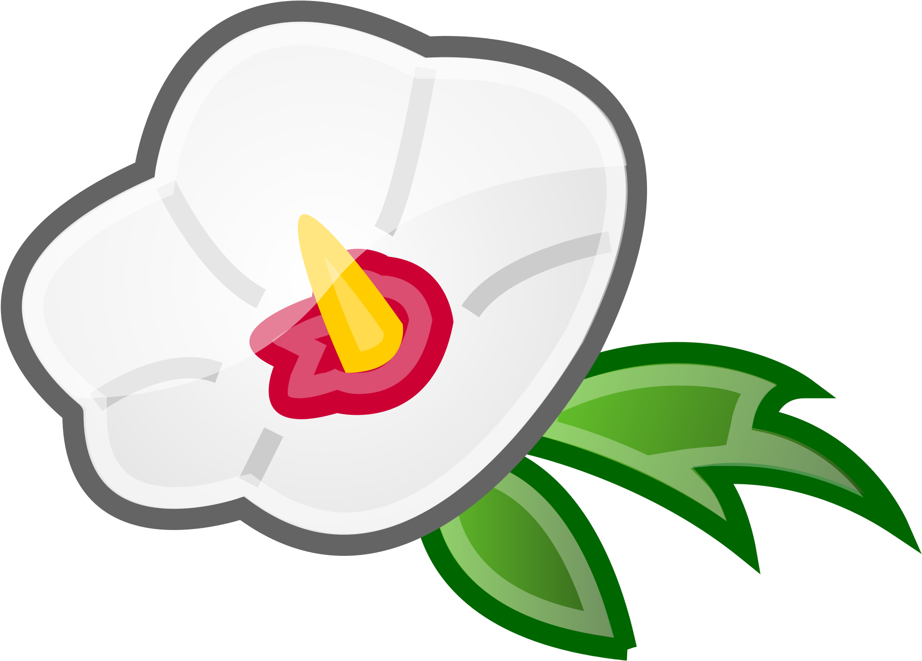 240 × 240 Pixels - Rose Of Sharon Clipart (600x600), Png Download
