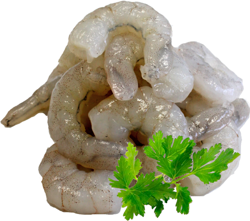 White Tiger Prawn Meat Broken 800gm Iqf - Pietruszka (500x459), Png Download