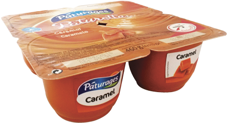 0678 Cd Paturette Caramel X4 - Chocolate Ice Cream (480x480), Png Download