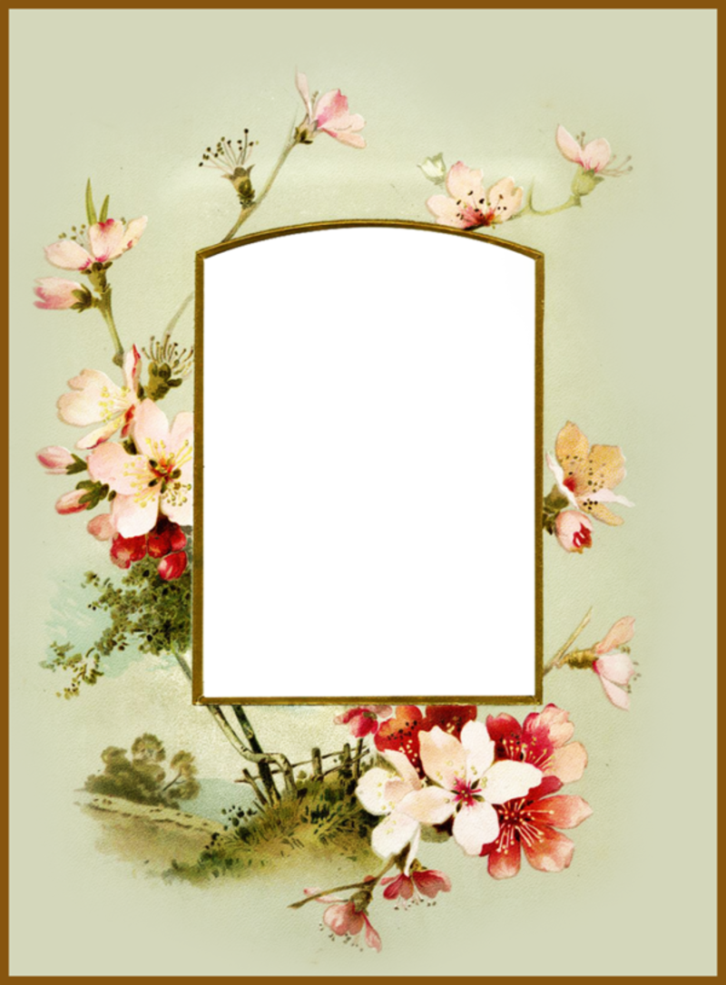 023515029 - Vintage Print (800x1086), Png Download