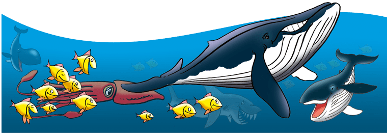 All The Flying Creatures - Striped Dolphin (760x261), Png Download
