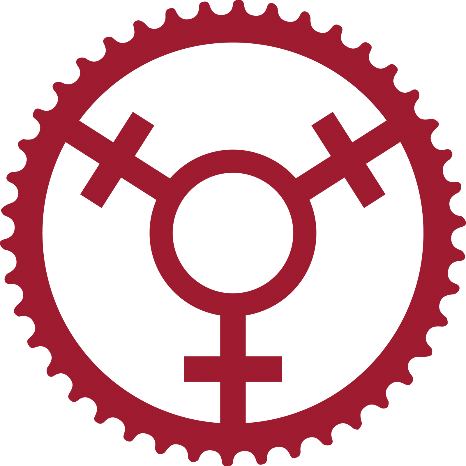 Mountain Bike For Her Is A Quarterly Magazine For Women - Bicycle (1600x1600), Png Download