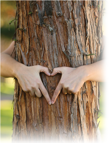 Tree - Png Girl Hand Hug (400x467), Png Download