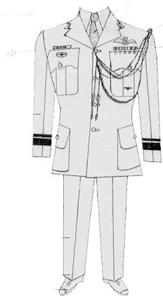 Dress No 1 - Indian Air Force Uniform Colour (333x428), Png Download