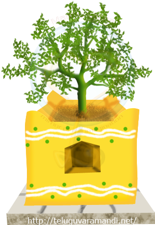 download in agasya samhita tulasi is mentioned with great tulsi plant png hd full size png image pngkit