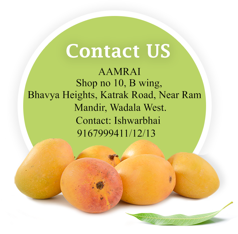 For Bulk Orders Or Any Query - Alphonso (828x760), Png Download