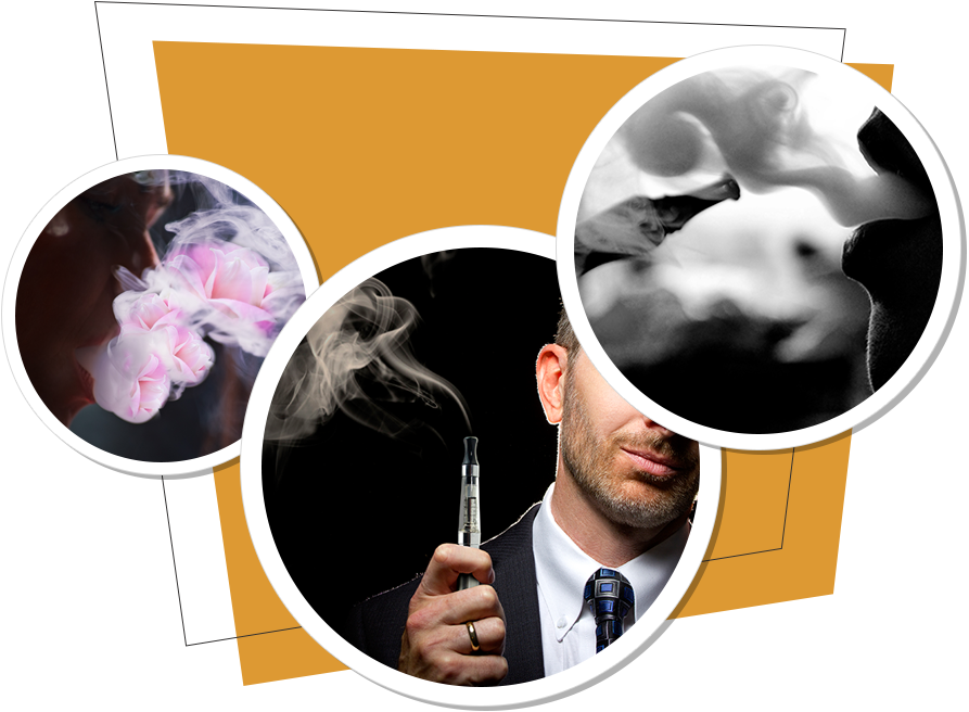 Cloud Puffing Tobacco - Moth Orchid (893x656), Png Download