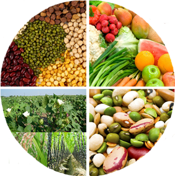 Crops - Textbook Of Field Crops (960x357), Png Download
