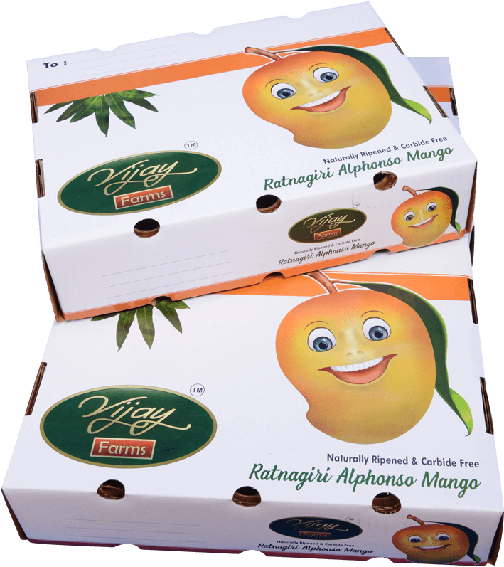 Pack Of 12 Alphonso Mangoes - Alphonso (800x800), Png Download