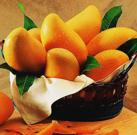 Aphonso Mango Pulp - 100% Real Mango Fruit Seeds,rare Delicious Fruit Seed, (571x560), Png Download