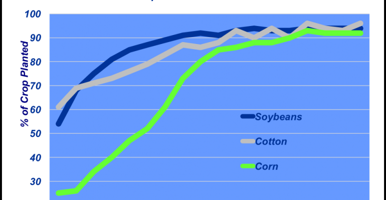 Gmo Crop Prevalance - Prevalence (770x400), Png Download