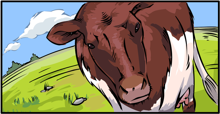 A View Of A Cow Staring At Us - Minnesota (840x435), Png Download