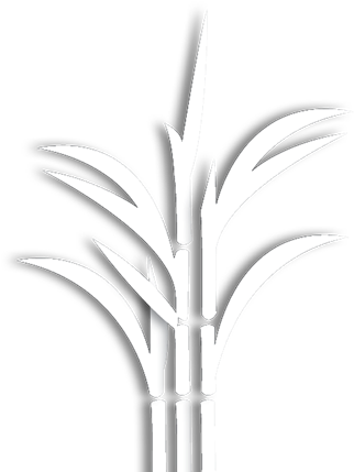 Grass (679x431), Png Download