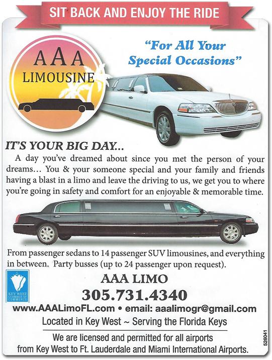 Packages And Special Features - Limousine (580x751), Png Download