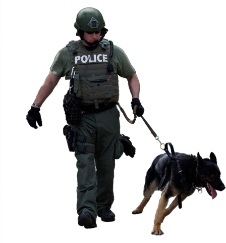 Related Wallpapers - Dog (640x480), Png Download
