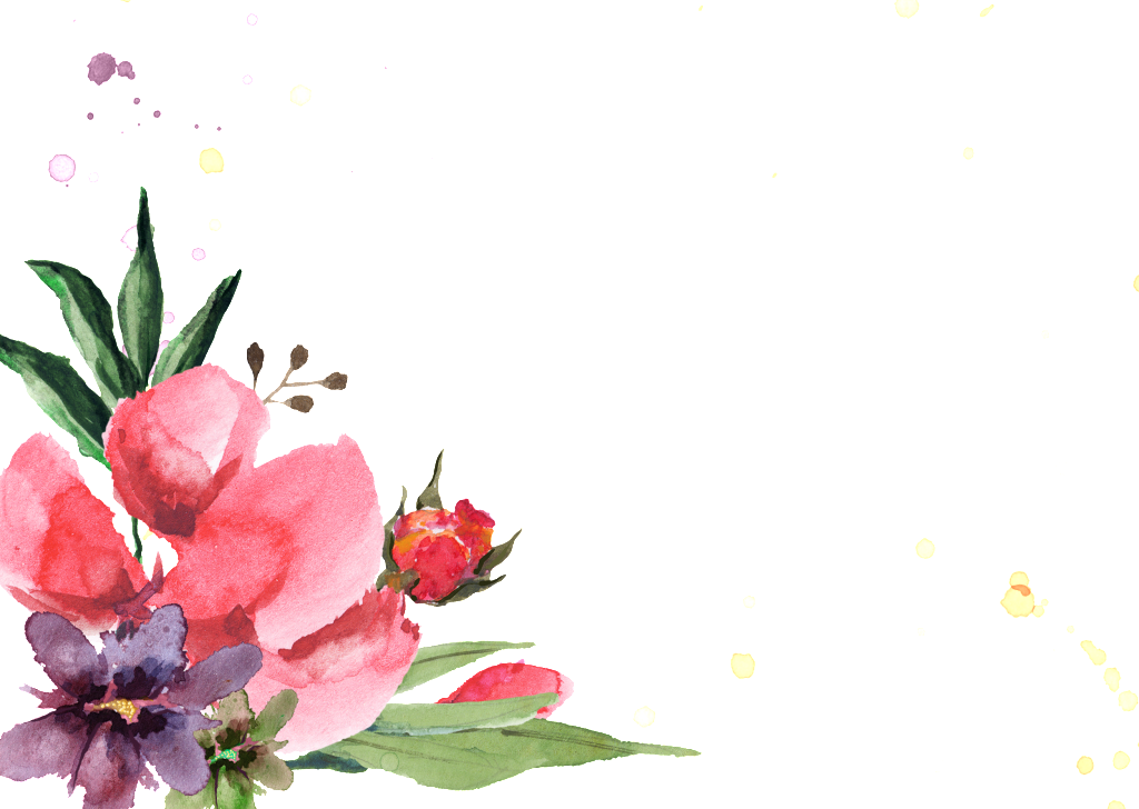 Hand Painted Safflower Flowers And Plants - Flower Border (1024x728), Png Download