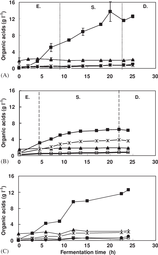 Levels Of Organic Acids In Carrot Juice Fermented (type - Diagram (642x1025), Png Download