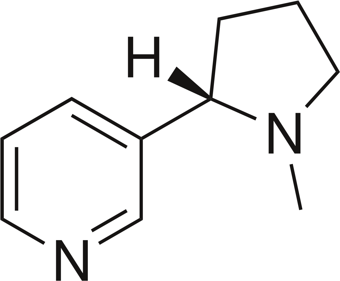 Nicotine Structure (1200x1006), Png Download