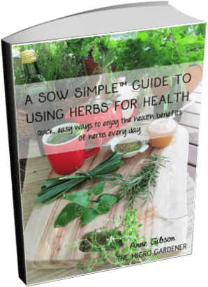 A Sow Simple Guide To Using Herbs Ebook By Anne Gibson - Tea (311x424), Png Download