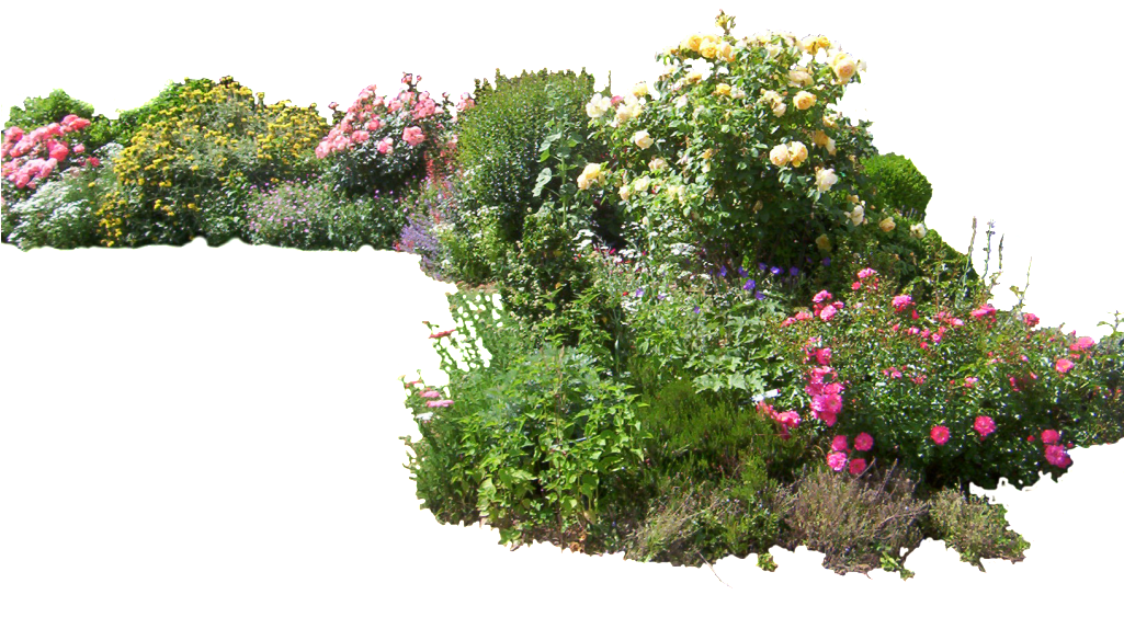 Flower Garden Png - Plants Png (1024x773), Png Download