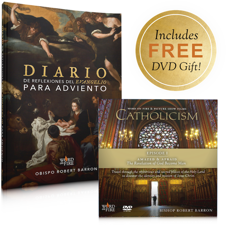 Catholicism: A Journey To The Heart (800x800), Png Download