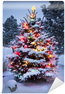 Brightly Lit Snow Covered Christmas Tree Wall Mural - Christmas Trees In The Snow (400x400), Png Download