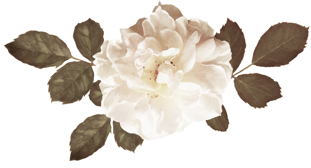Blooming Rose Flower Bouquet Png - Flower (1024x552), Png Download