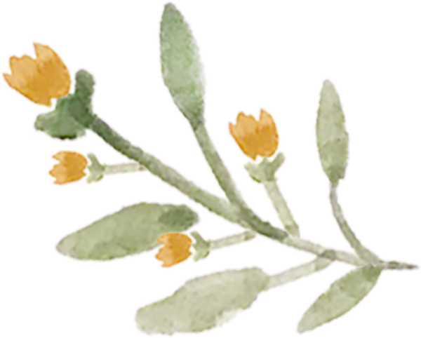 Single Floral 3 - Portable Network Graphics (600x482), Png Download