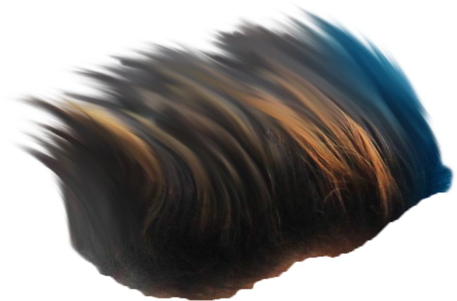 Hair Png ➤ - Lace Wig (2473x3091), Png Download