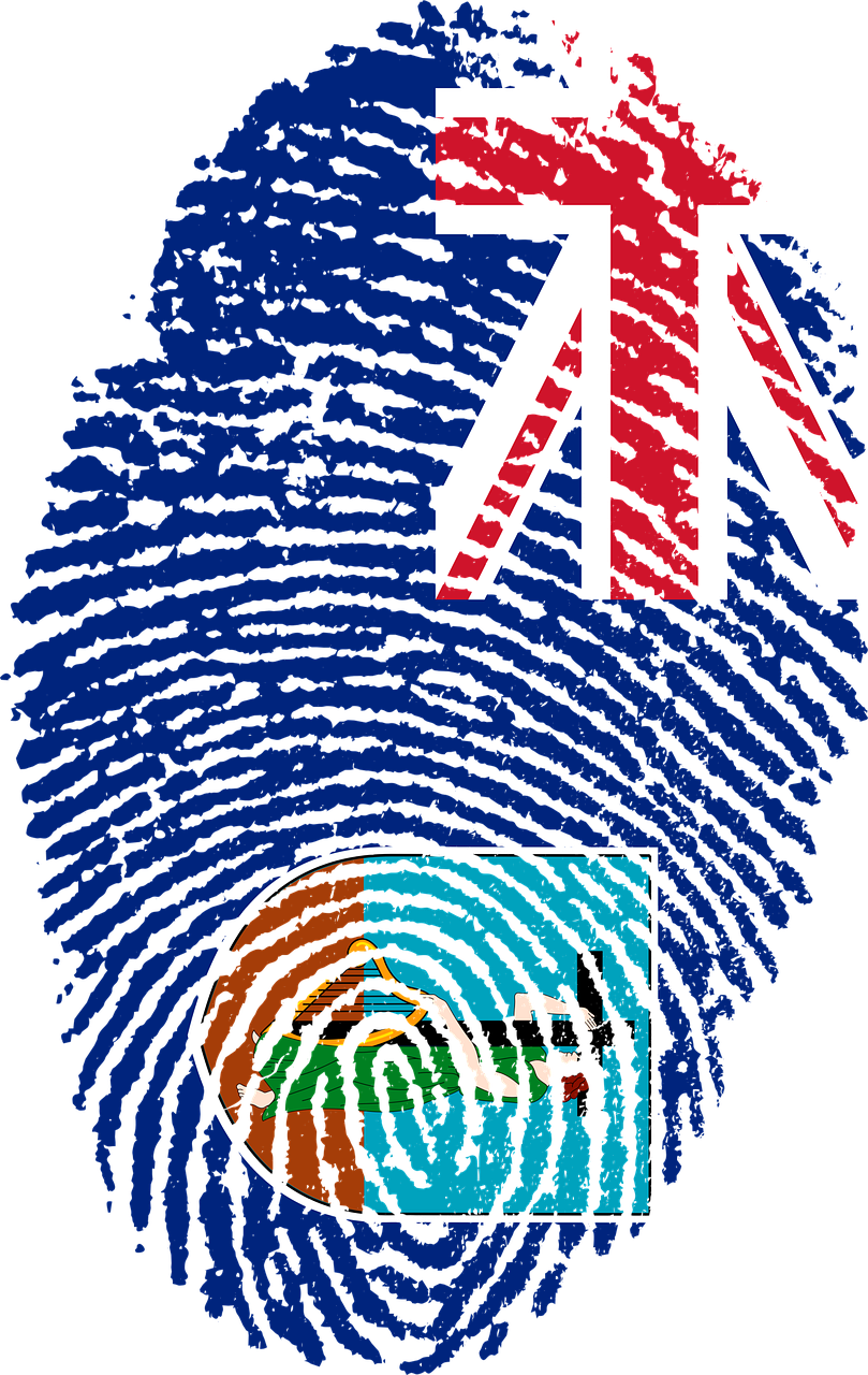 Fingerprint Flag (809x1280), Png Download
