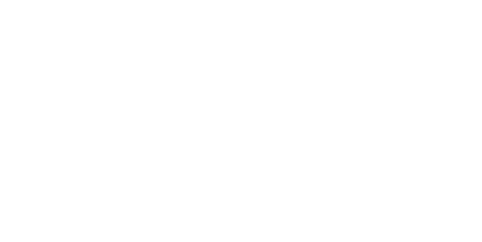 Fingerprint Digital - Safety Management Systems (500x249), Png Download