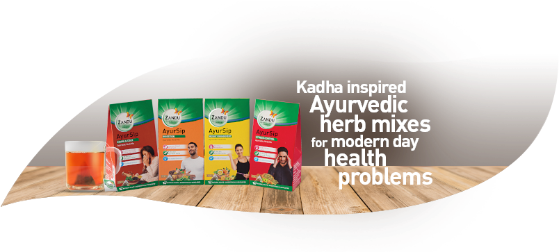 View - Flyer (939x364), Png Download