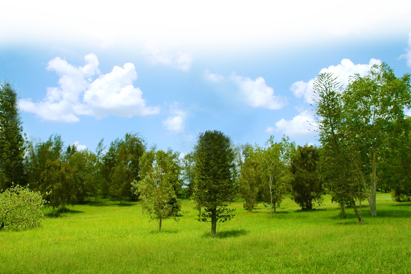 A Cool Dry Place - Grove (815x543), Png Download