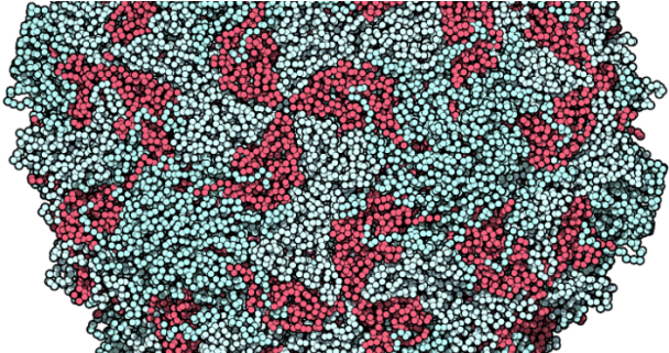 Post Navigation - Poliovirus Structure (690x320), Png Download