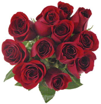 Mejor Rosa Del Mundo (348x360), Png Download