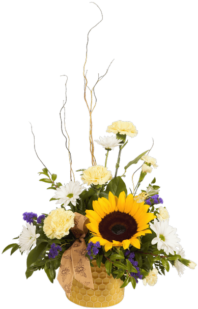 Honey Bee (500x611), Png Download