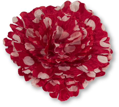 Round The Track - Dahlia (560x560), Png Download