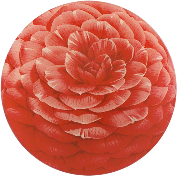 John Derian (600x600), Png Download