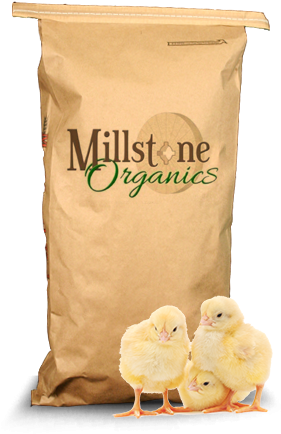 Organic Chick Starter - Poultry Feed (344x500), Png Download