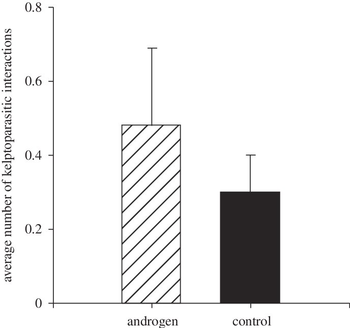 The Number Of Kleptoparasitic Behaviours Shown By Androgen - Mean (688x645), Png Download