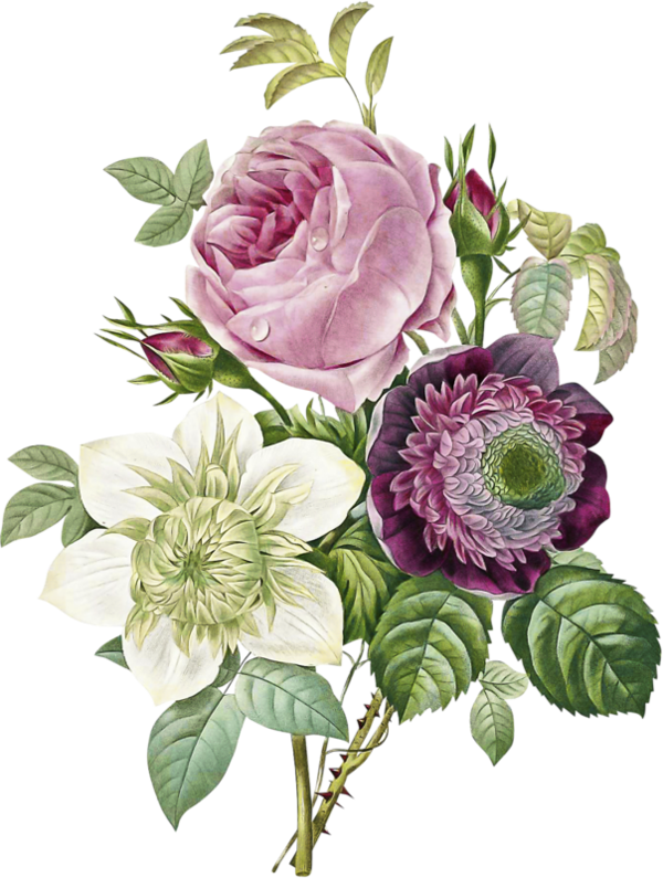 Shabby Chic Flower Vintage (600x795), Png Download