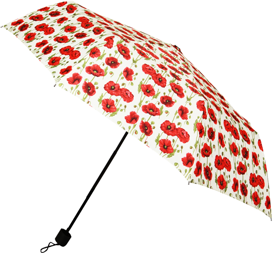 Poppy Umbrella Transparent Background - Clear Background Umbrella Png (602x500), Png Download