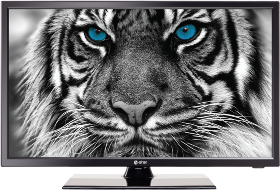 Ledtv 22d1t1 Ledtv Front - Estar Ledtv24d2t2 (772x680), Png Download