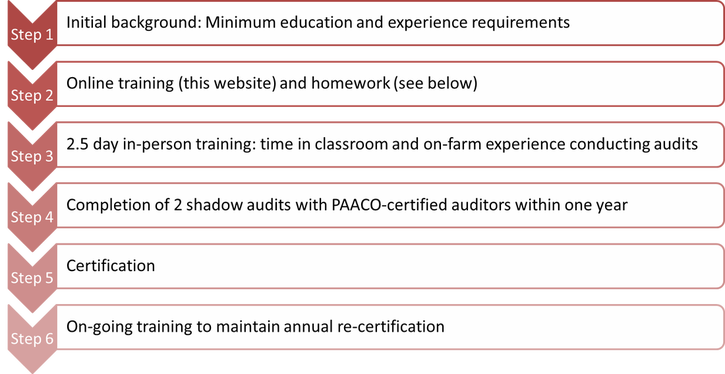 At The End Of The In Person Training , Trainees Must - Mentor Program Outline (725x374), Png Download