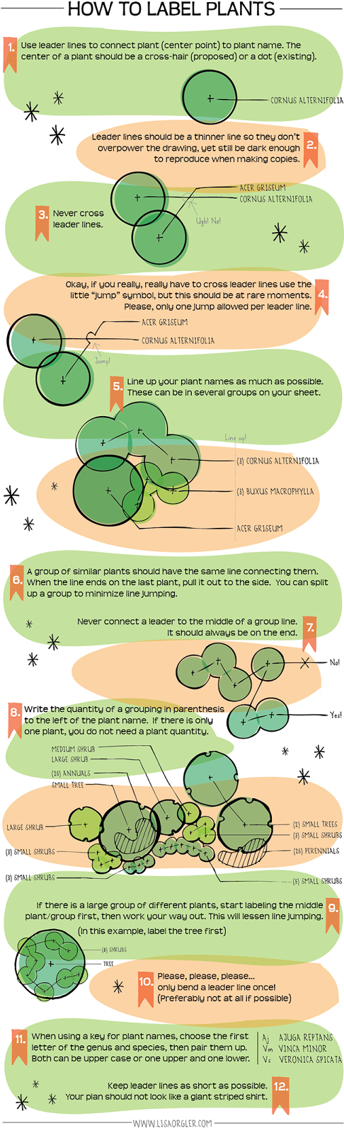 Tree For Background Png By Gd08 On Deviantart - Landscape And Presentation (487x1600), Png Download