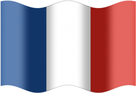 Flag,france,national State, - University (500x312), Png Download