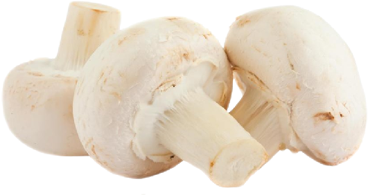 Mushrooms Button - Champignon Mushroom (600x600), Png Download