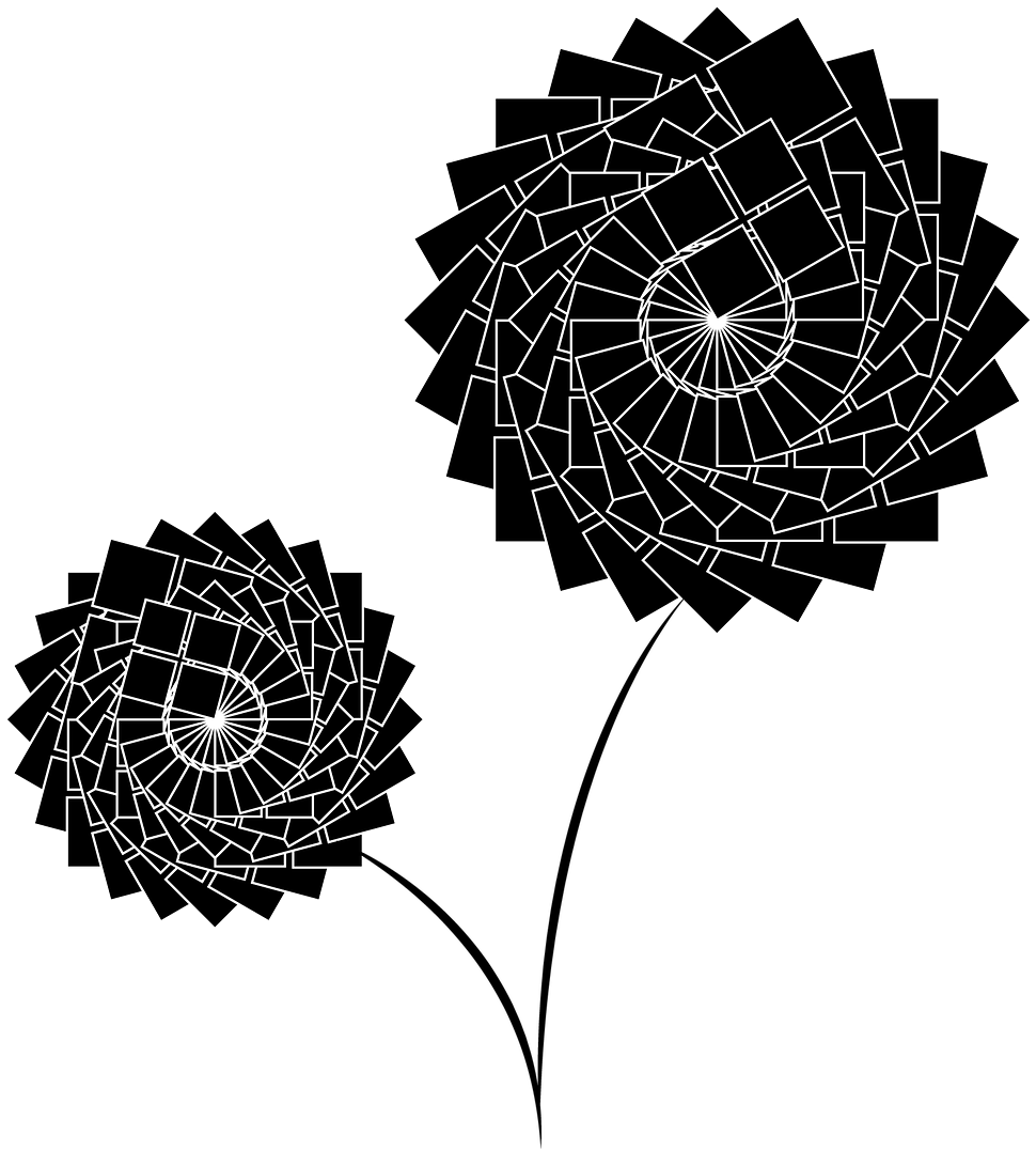 Flowers,black,flowers 2 Bunches,vector - My Religion Is Kindness Png (1280x1220), Png Download