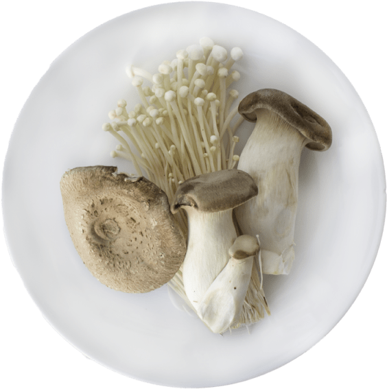1 Punnet - Whiteleg Shrimp (640x640), Png Download