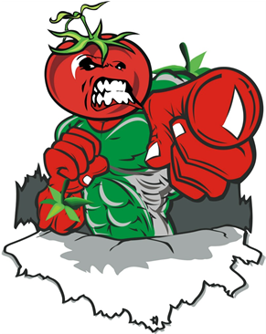 2018 Tomato Town Tumble Novice Tournament - Novice Tournament (960x365), Png Download